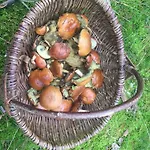 Am Dombogen - Barrierefrei - Sommerferienangebot !!! -20 Prozent Reduziert- 2 Schlafzimmer Ab 3 Personen - Mindestens 3 Naechte Aufenthalt Xanten