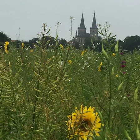 Am Dombogen - Barrierefrei - 2 Schlafzimmer Ab 3 Personen - Mindestens 3 Naechte Aufenthalt *