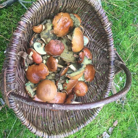 Am Dombogen - Barrierefrei - 2 Schlafzimmer Ab 3 Personen - Mindestens 3 Naechte Aufenthalt Xanten