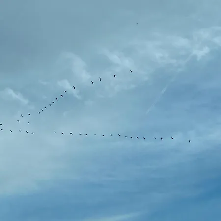 Am Dombogen - Barrierefrei - 2 Schlafzimmer Ab 3 Personen - Mindestens 3 Naechte Aufenthalt Vakantiehuis Xanten