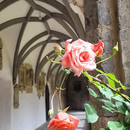 Am Dombogen - Barrierefrei - 2 Schlafzimmer Ab 3 Personen - Mindestens 3 Naechte Aufenthalt Casa de Férias Xanten