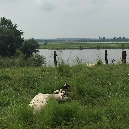 Am Dombogen - Barrierefrei - * Xanten
