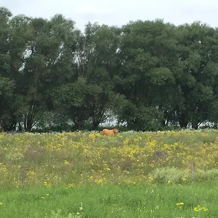 Casa de Férias Am Dombogen - Barrierefrei - 2 Schlafzimmer Ab 3 Personen - Mindestens 3 Naechte Aufenthalt Xanten