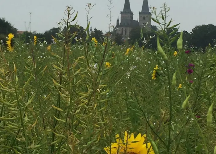 Am Dombogen - Barrierefrei - 2 Schlafzimmer Ab 3 Personen - Mindestens 3 Naechte Aufenthalt *