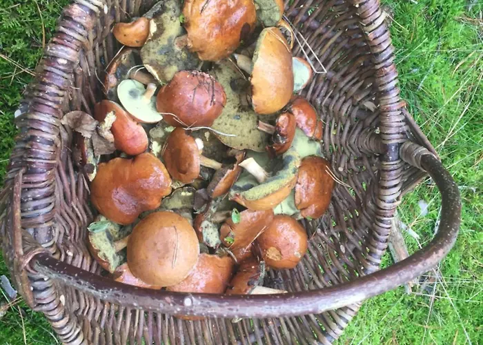 Am Dombogen - Barrierefrei - 2 Schlafzimmer Ab 3 Personen - Mindestens 3 Naechte Aufenthalt クサンテン