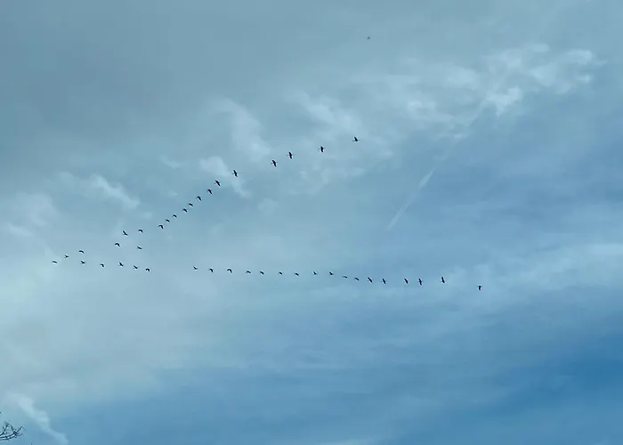 Am Dombogen - Barrierefrei - 2 Schlafzimmer Ab 3 Personen - Mindestens 3 Naechte Aufenthalt Tatil Evi Xanten