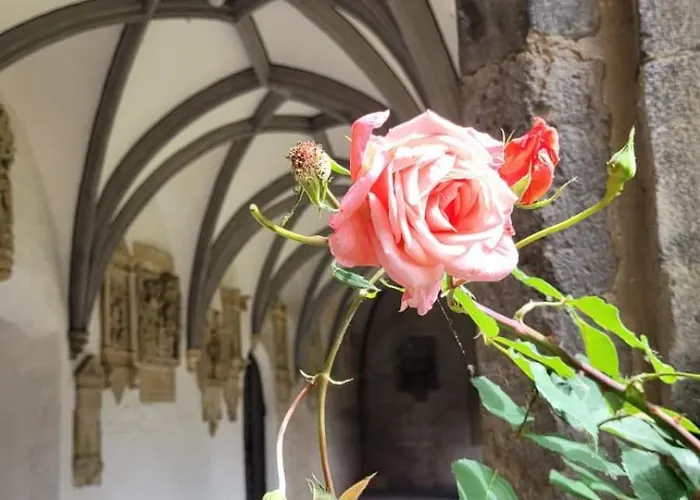 Am Dombogen - Barrierefrei - 2 Schlafzimmer Ab 3 Personen - Mindestens 3 Naechte Aufenthalt Tatil Evi Xanten