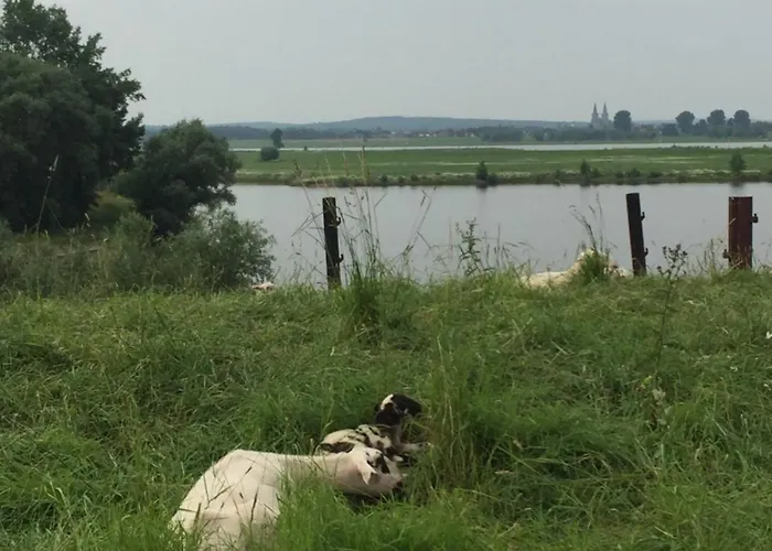 Am Dombogen - Barrierefrei - 2 Schlafzimmer Ab 3 Personen - Mindestens 3 Naechte Aufenthalt * クサンテン