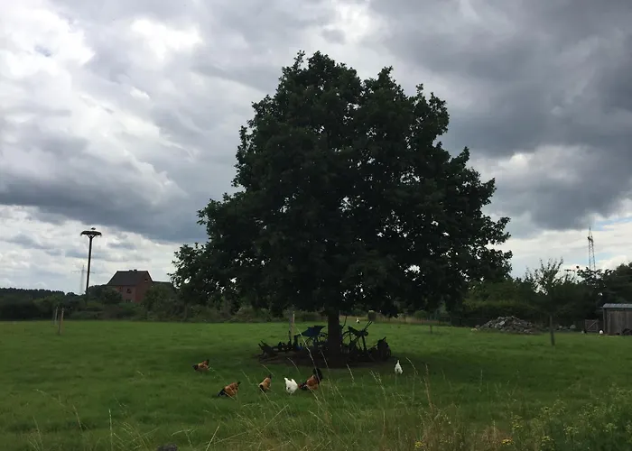Am Dombogen - Barrierefrei - 2 Schlafzimmer Ab 3 Personen - Mindestens 3 Naechte Aufenthalt *