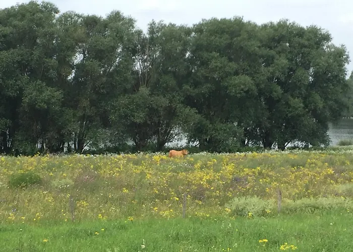 Tatil Evi Am Dombogen - Barrierefrei - 2 Schlafzimmer Ab 3 Personen - Mindestens 3 Naechte Aufenthalt Xanten